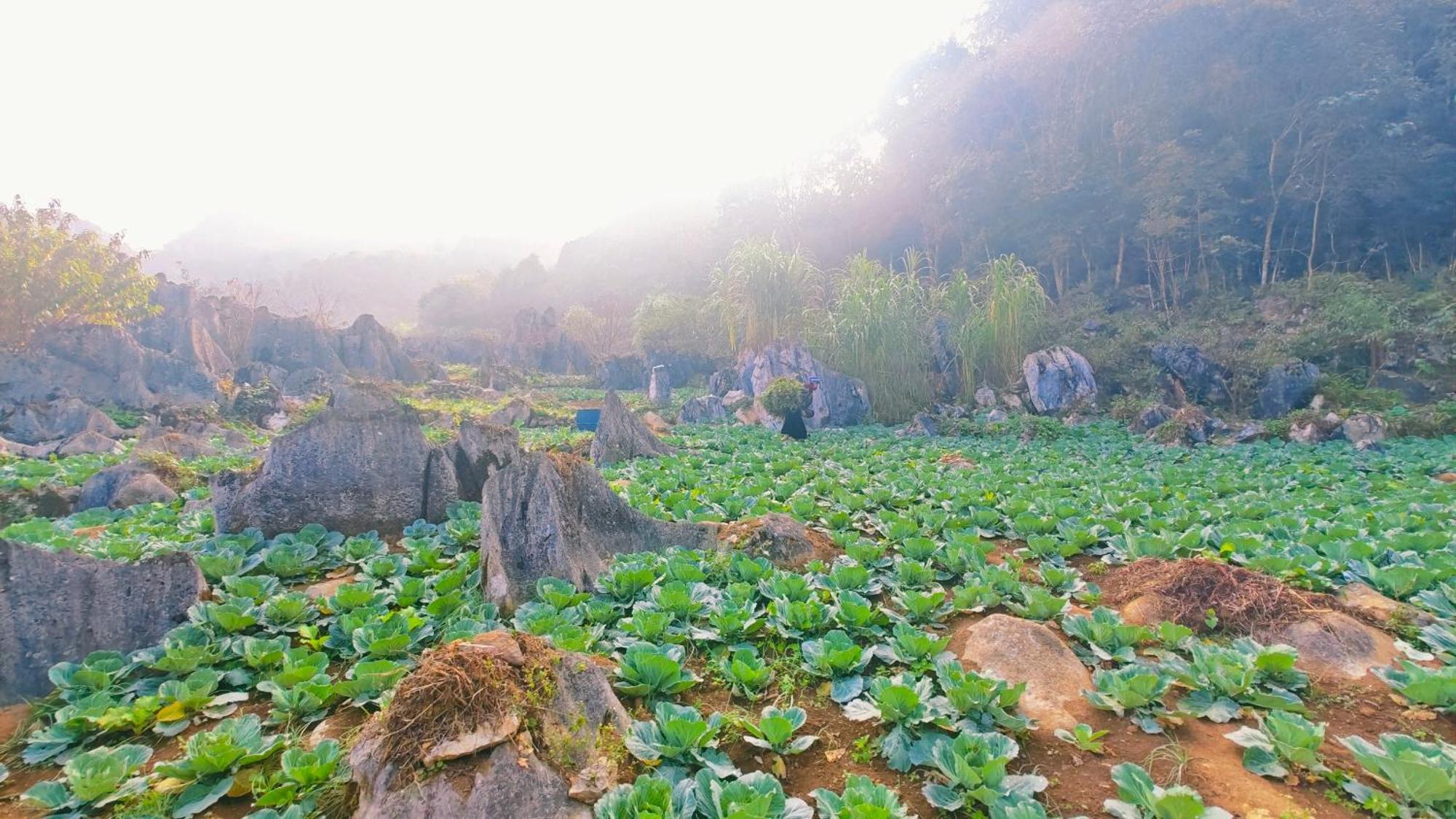 Nha Co Lao Xa Homestay Hmong & Bungalow Air Conditioner Dồng Van Bagian luar foto